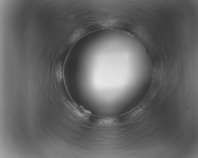 X0000080170479200612151927