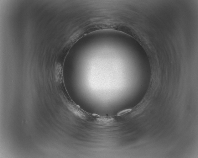 X0000080170480200612151927