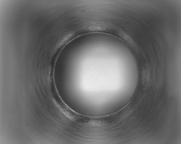 X0000080170490200612151926