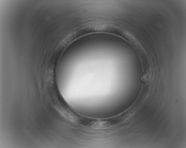 X0000080170497200612151926