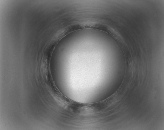 X0000080170498200612151926
