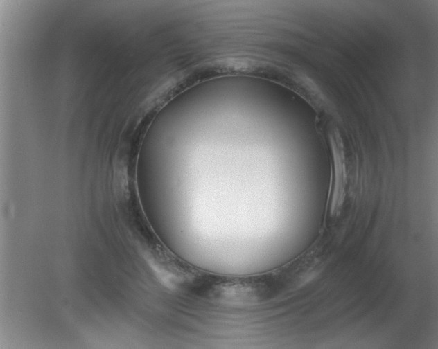 X0000080170500200612151926