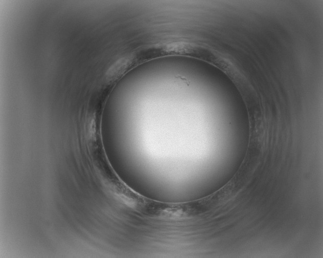 X0000080170502200612151926