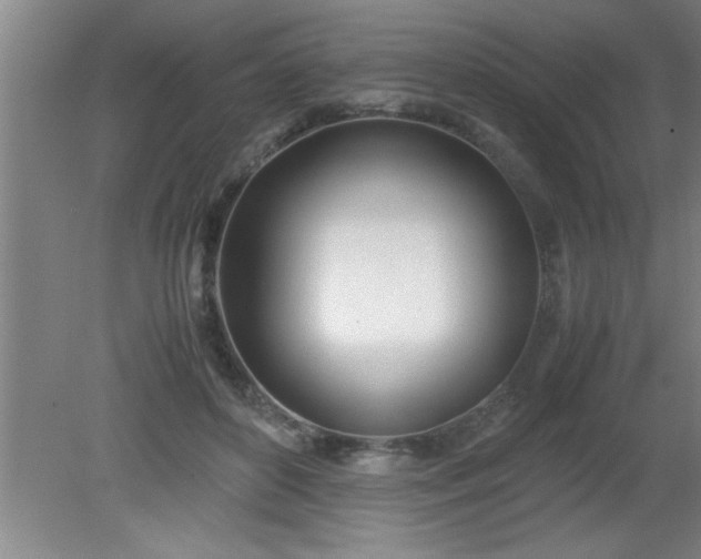 X0000080170504200612151926
