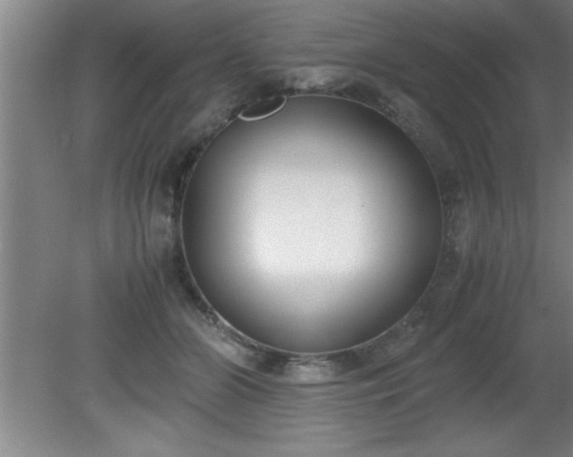 X0000080170510200612151926