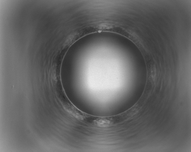 X0000080170512200612151926