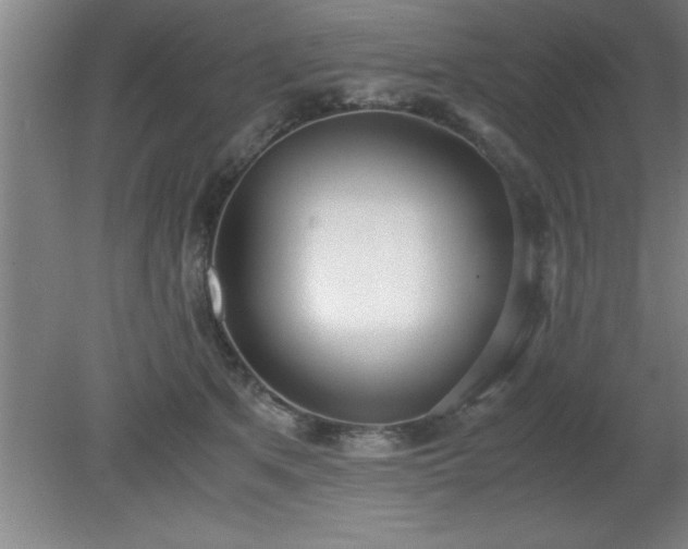 X0000080170513200612151926