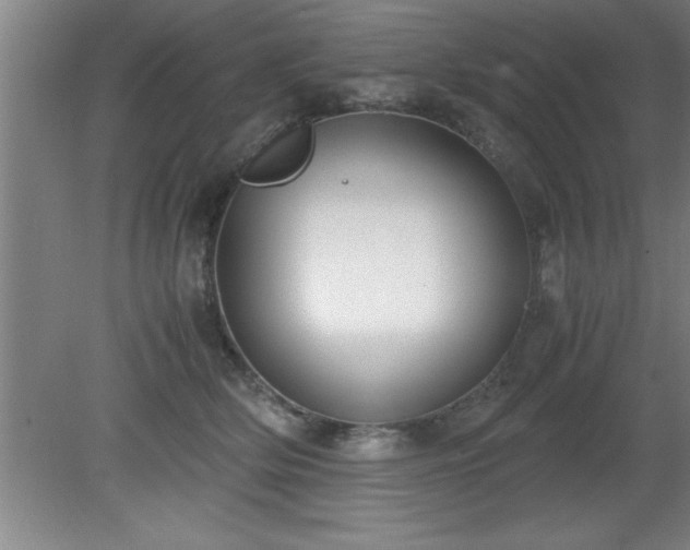 X0000080170514200612151926