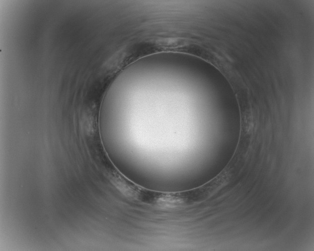 X0000080170515200612151926