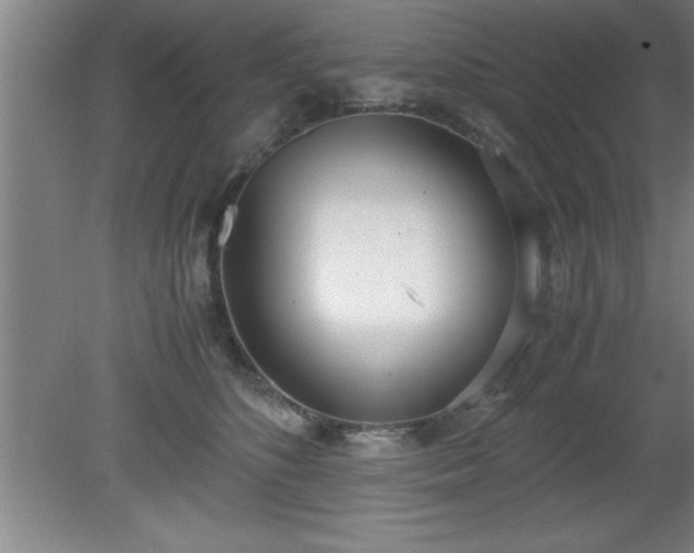 X0000080170516200612151926