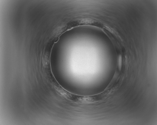 X0000080170517200612151926