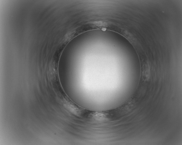 X0000080170518200612151926