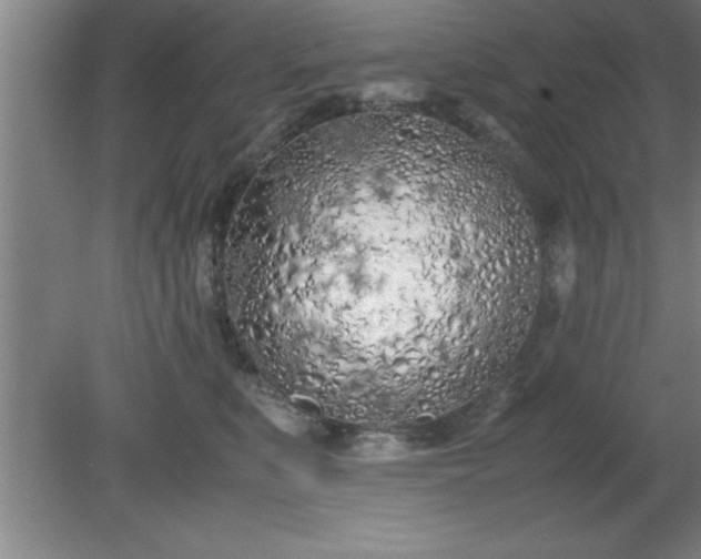 X0000080170519200612151926