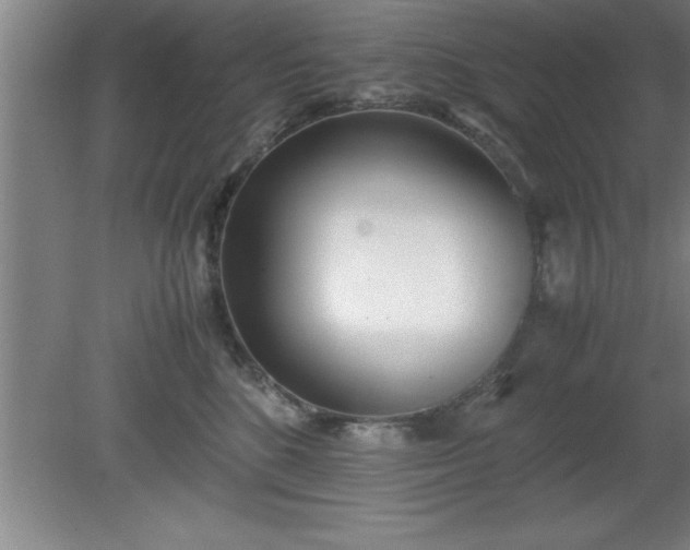 X0000080170520200612151926