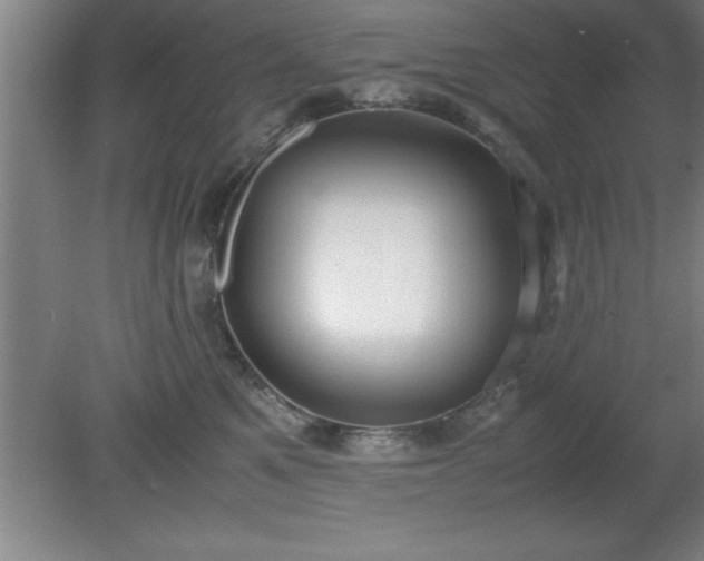 X0000080170521200612151926