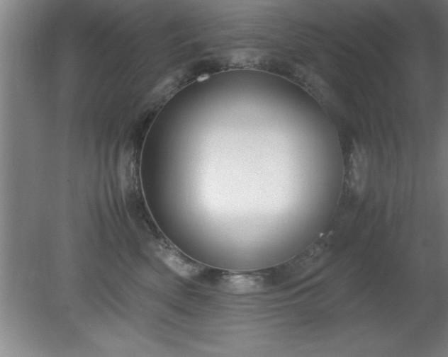 X0000080170522200612151926