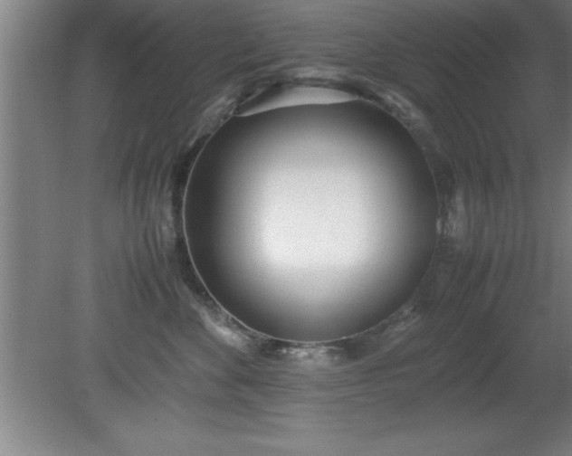 X0000080170524200612151926