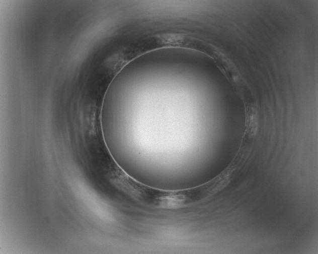 X0000080170525200612151926