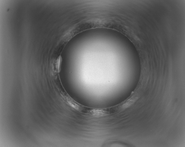 X0000080170528200612151926