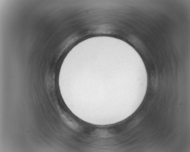 X0000080170534200612151925