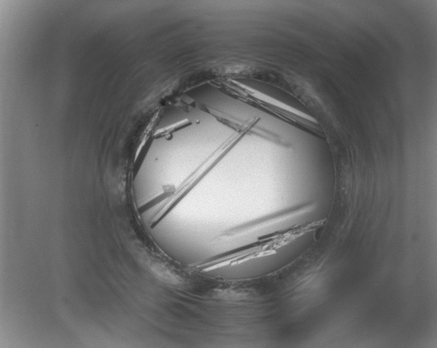 X0000080170545200612151925