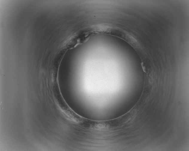 X0000080170546200612151925