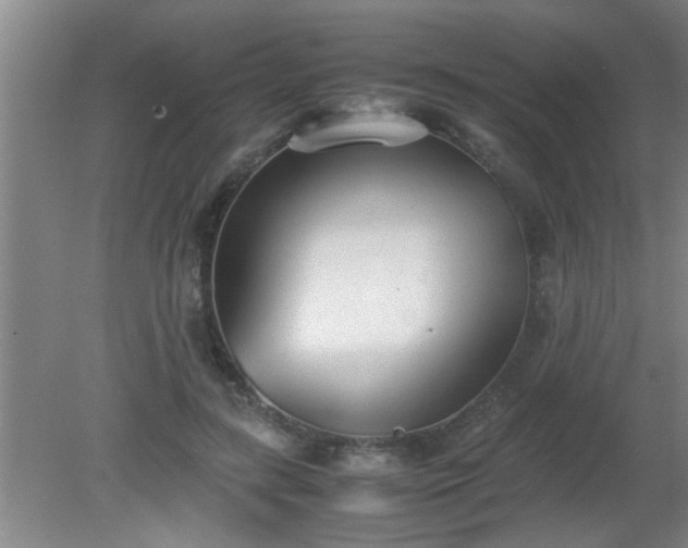 X0000080170547200612151925