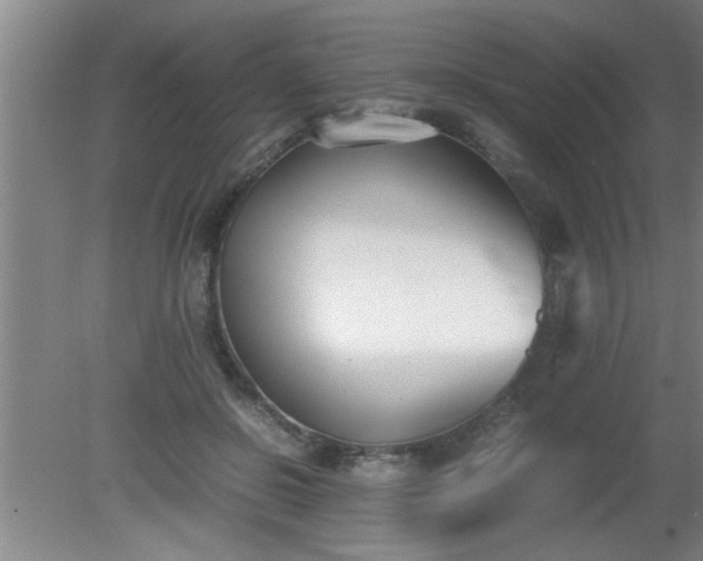 X0000080170550200612151925