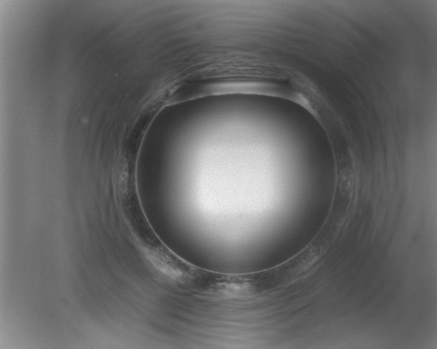 X0000080170552200612151925