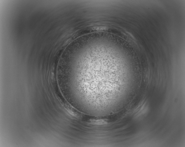 X0000080170553200612151925