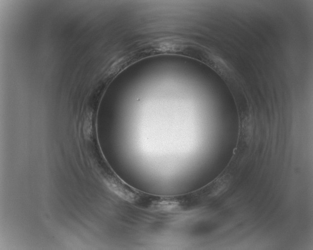 X0000080170554200612151925