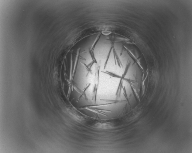 X0000080170557200612151925