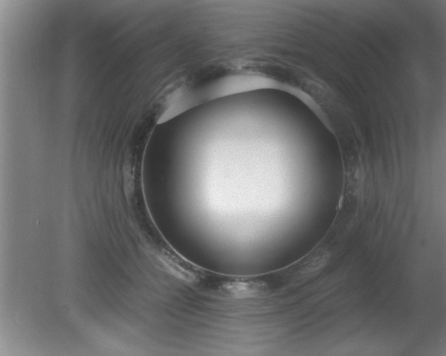 X0000080170558200612151925