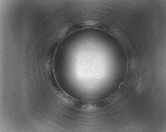 X0000080170559200612151925