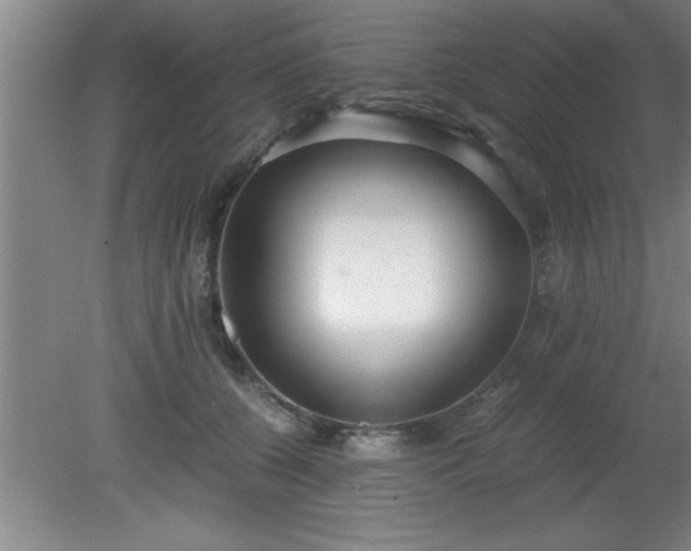 X0000080170560200612151925