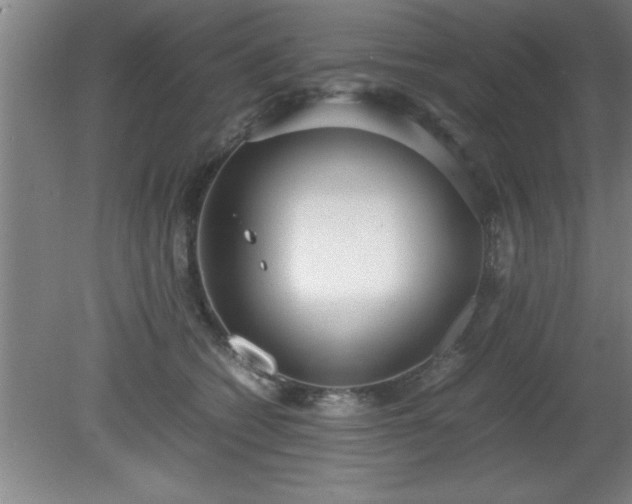 X0000080170562200612151925