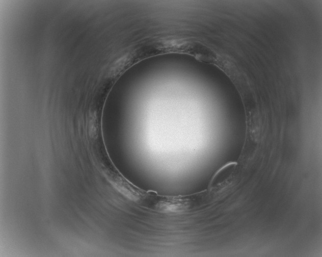 X0000080170563200612151925