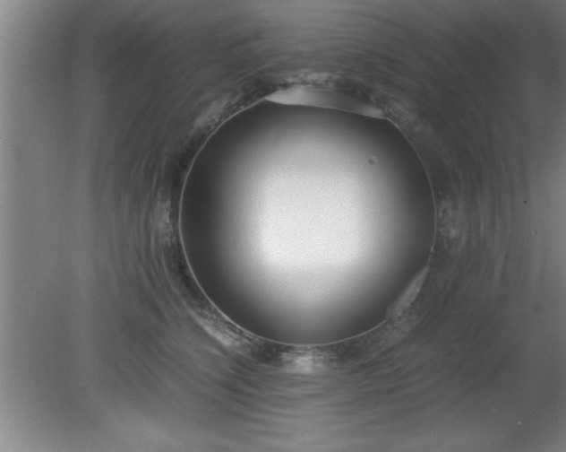 X0000080170564200612151925