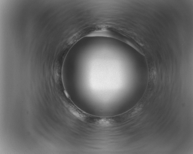 X0000080170566200612151925