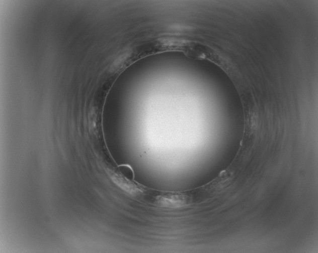 X0000080170567200612151925