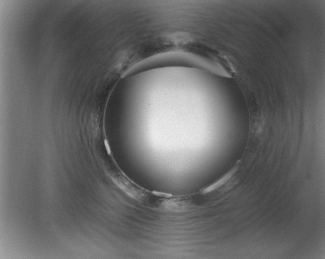 X0000080170568200612151925