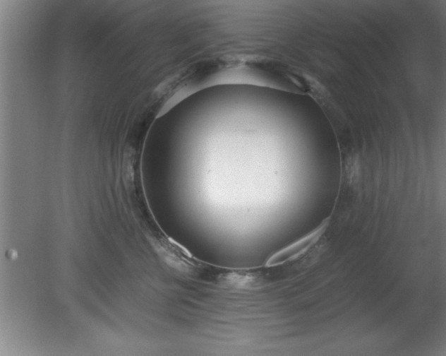 X0000080170570200612151925