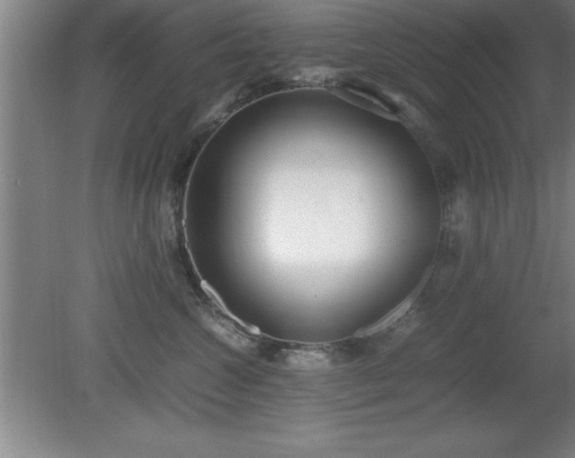 X0000080170572200612151926
