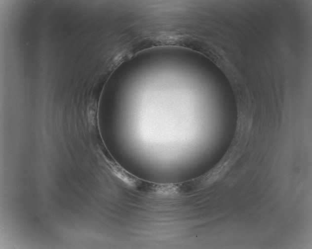 X0000080170576200612151926