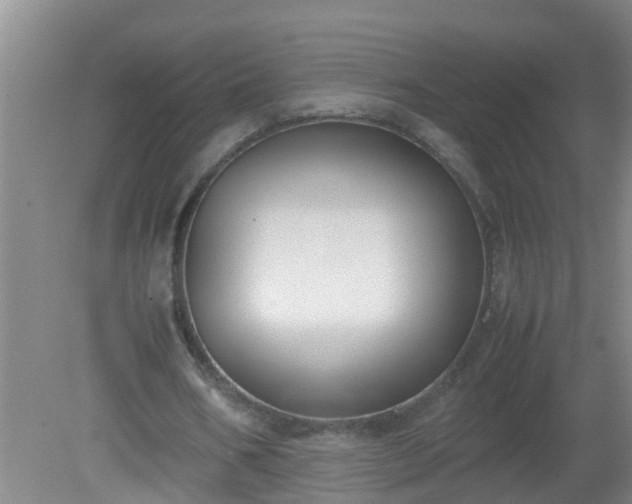 X0000080170578200612151925