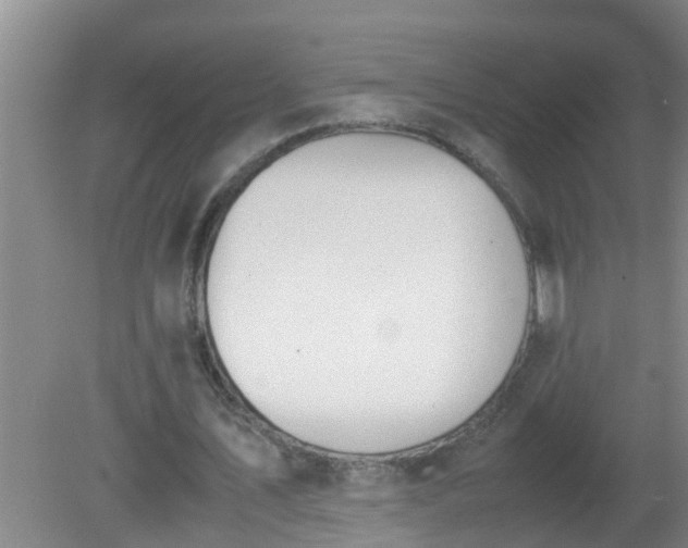 X0000080170579200612151925
