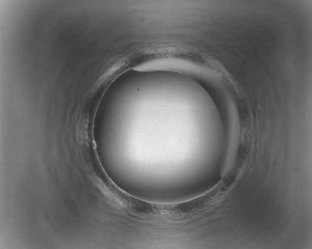 X0000080170585200612151925