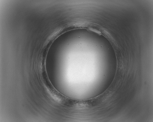 X0000080170586200612151925