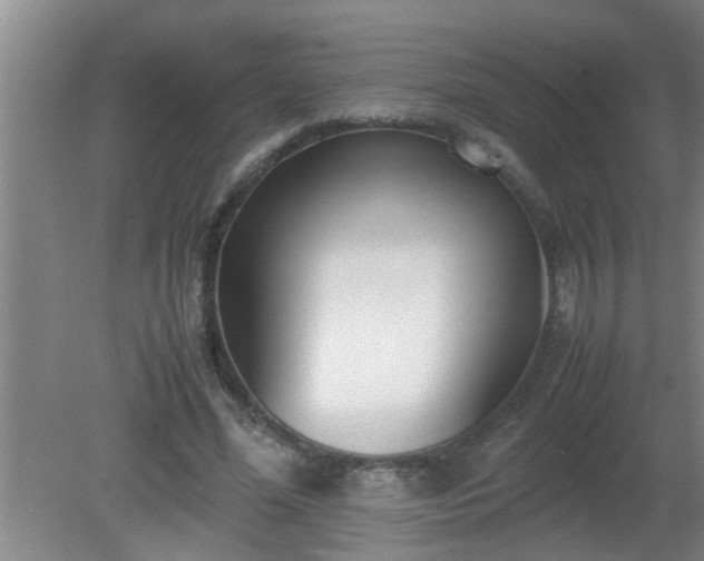 X0000080170588200612151925