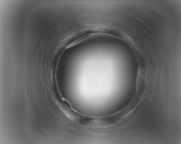 X0000080170589200612151925